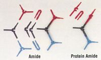 Kit #15b -Protein